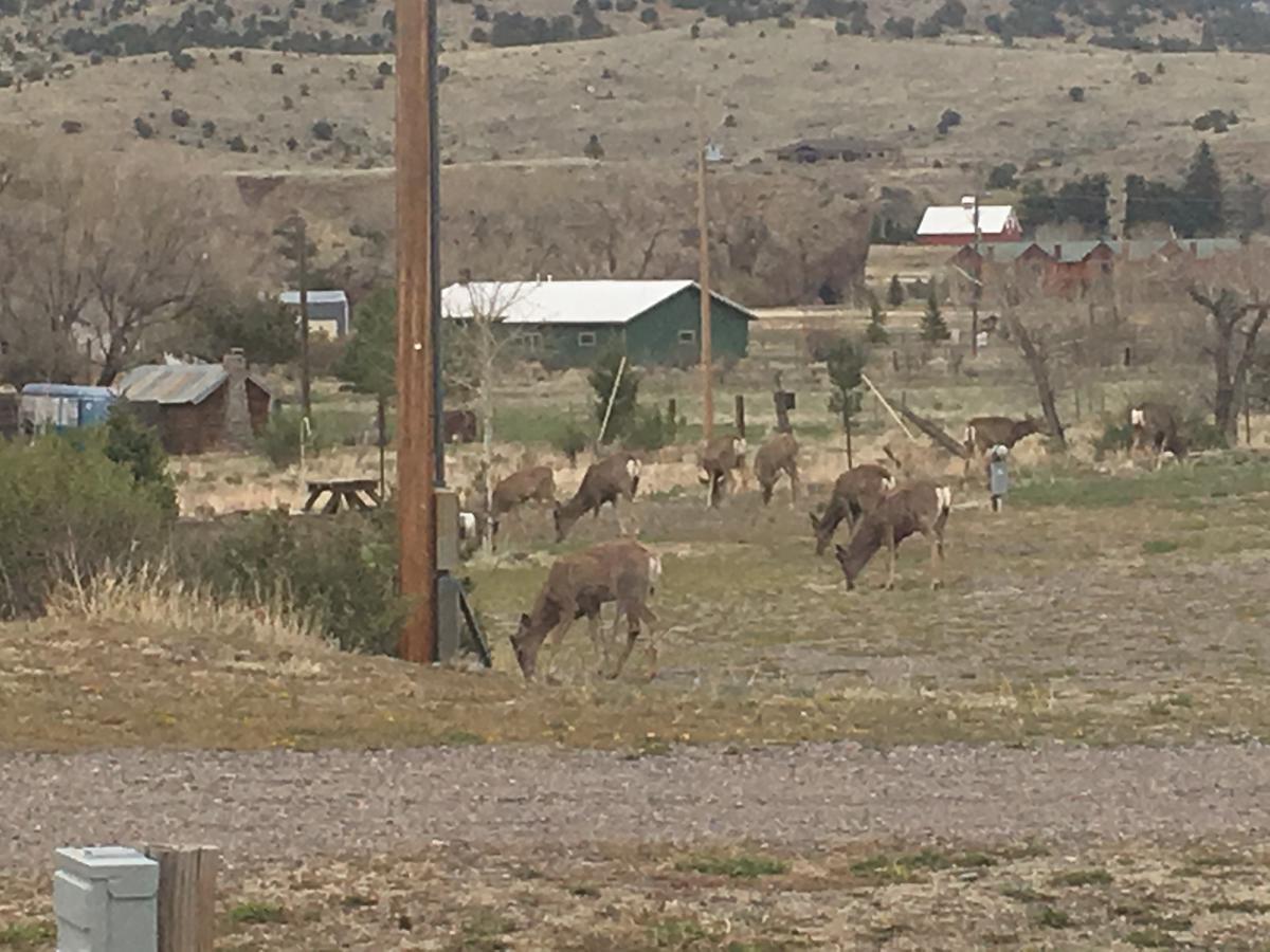 South Fork Lodge & Rv Park Colorado エクステリア 写真